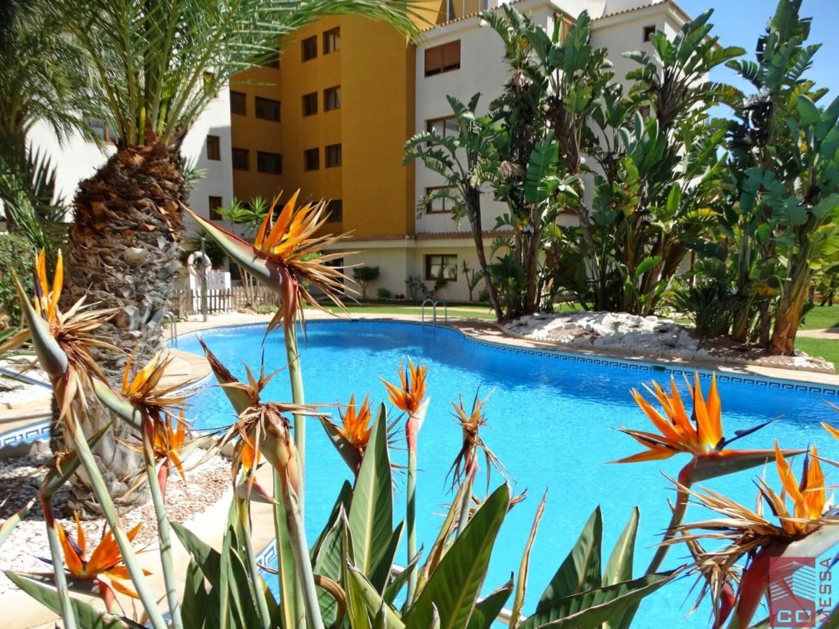Apartamento Eleonor, La Entrada, Punta Prima, Torrevieja Bagian luar foto